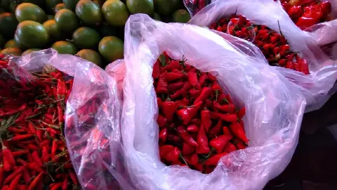 Feira do Alecrim, em Natal/RN: foto 17