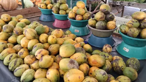 Feira do Alecrim, em Natal/RN: foto 20