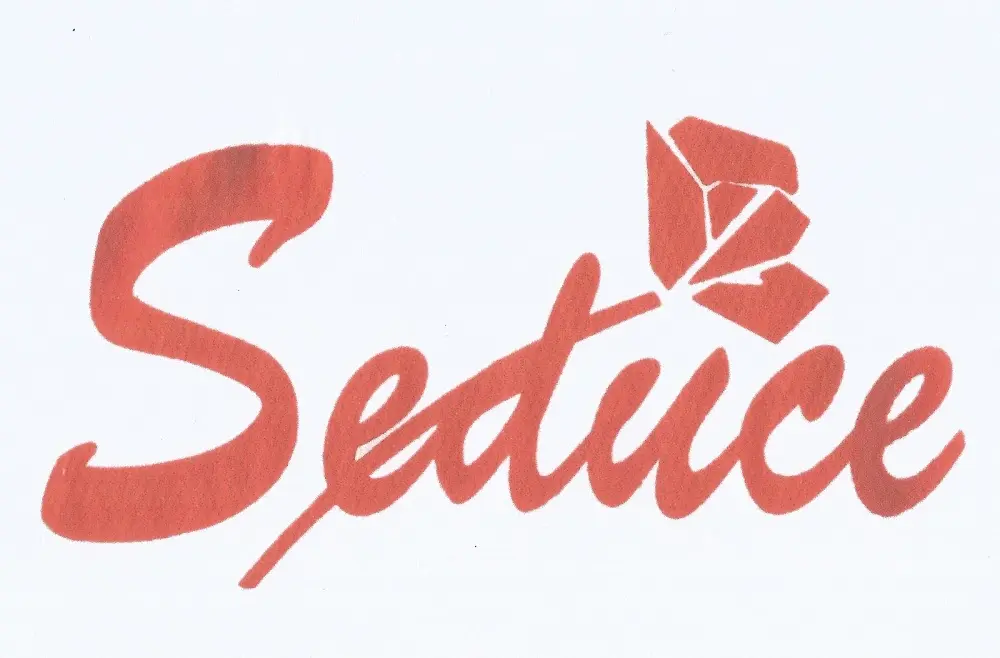 Seduce Moda Íntima - foto 1